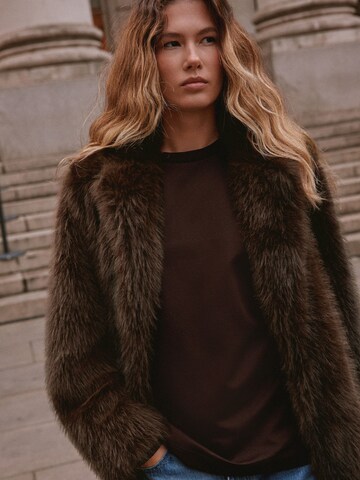 Cappotto invernale di Next in marrone