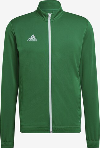 Vestes d’entraînement 'Entrada 22' ADIDAS SPORTSWEAR en vert : devant