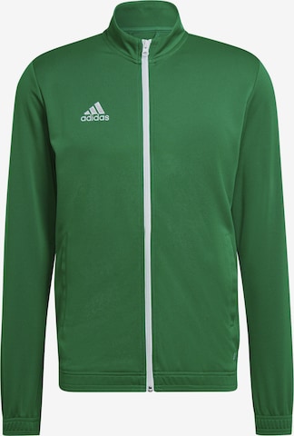 ADIDAS SPORTSWEAR Training Jacket 'Entrada 22' in Green: front