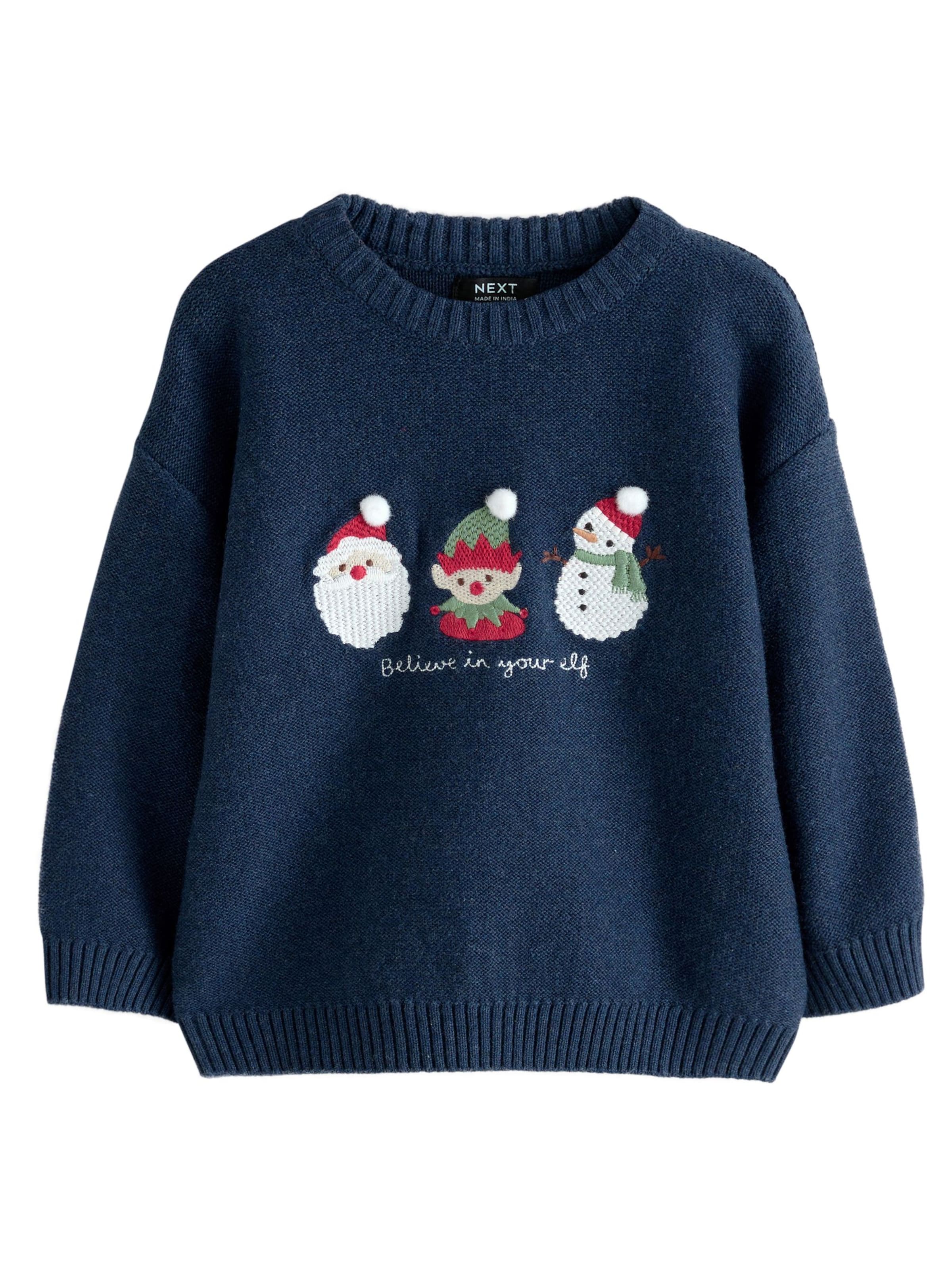 Next Sweater in Blue: front