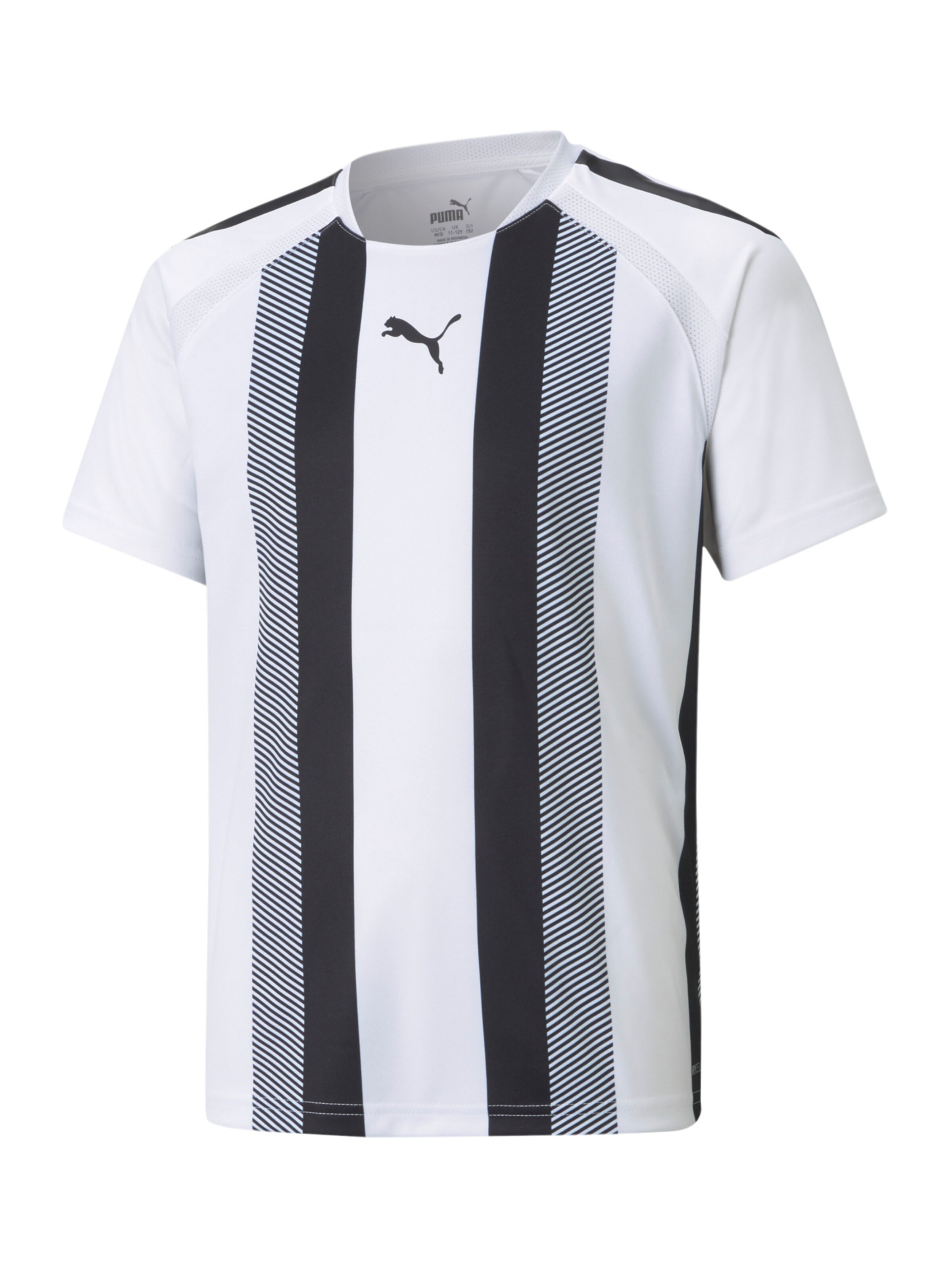 PUMA Trikot 'Team Liga' in Weiß: Vorderseite