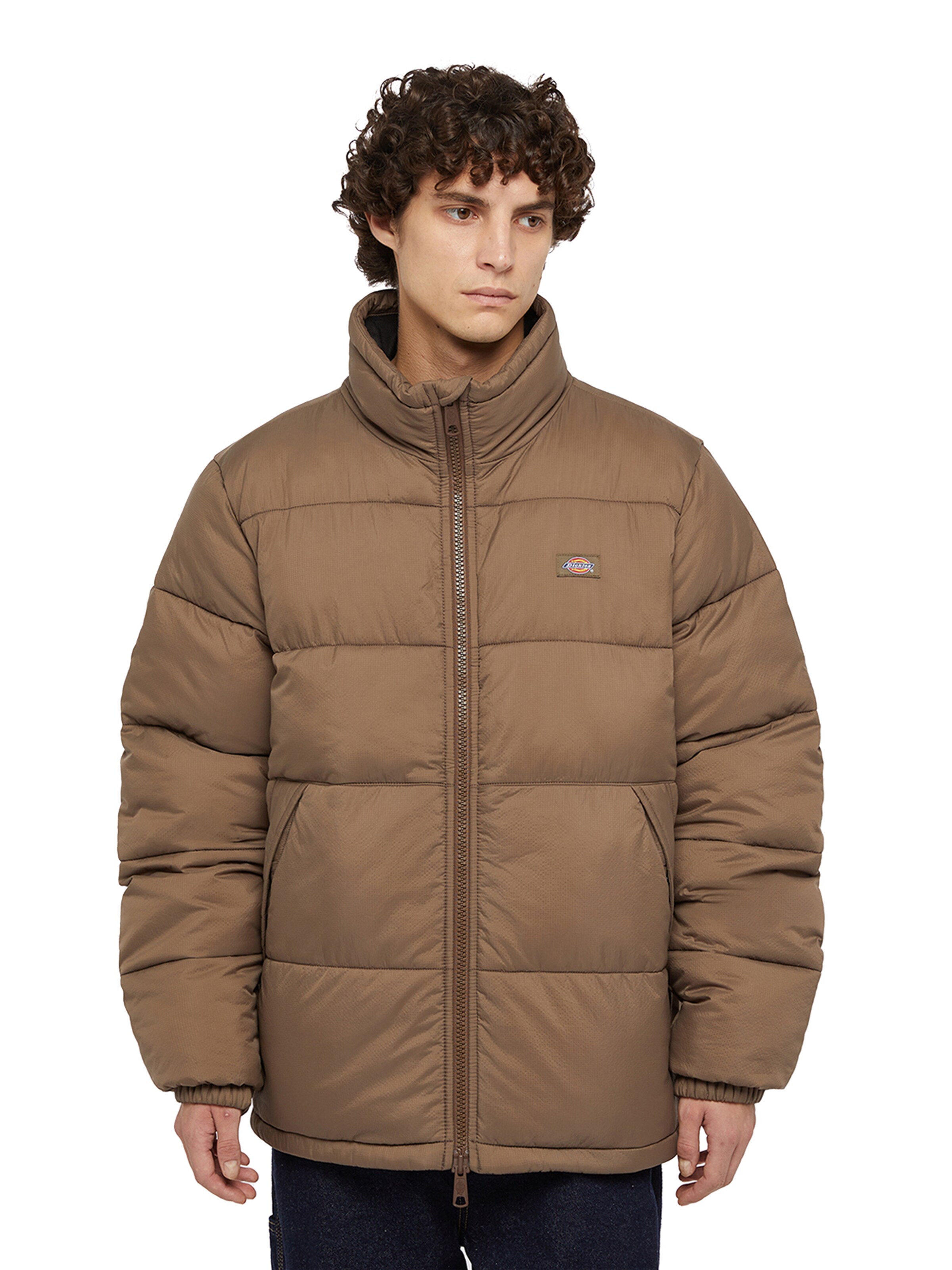 Veste d’hiver 'WALDENBURG' DICKIES en marron : devant