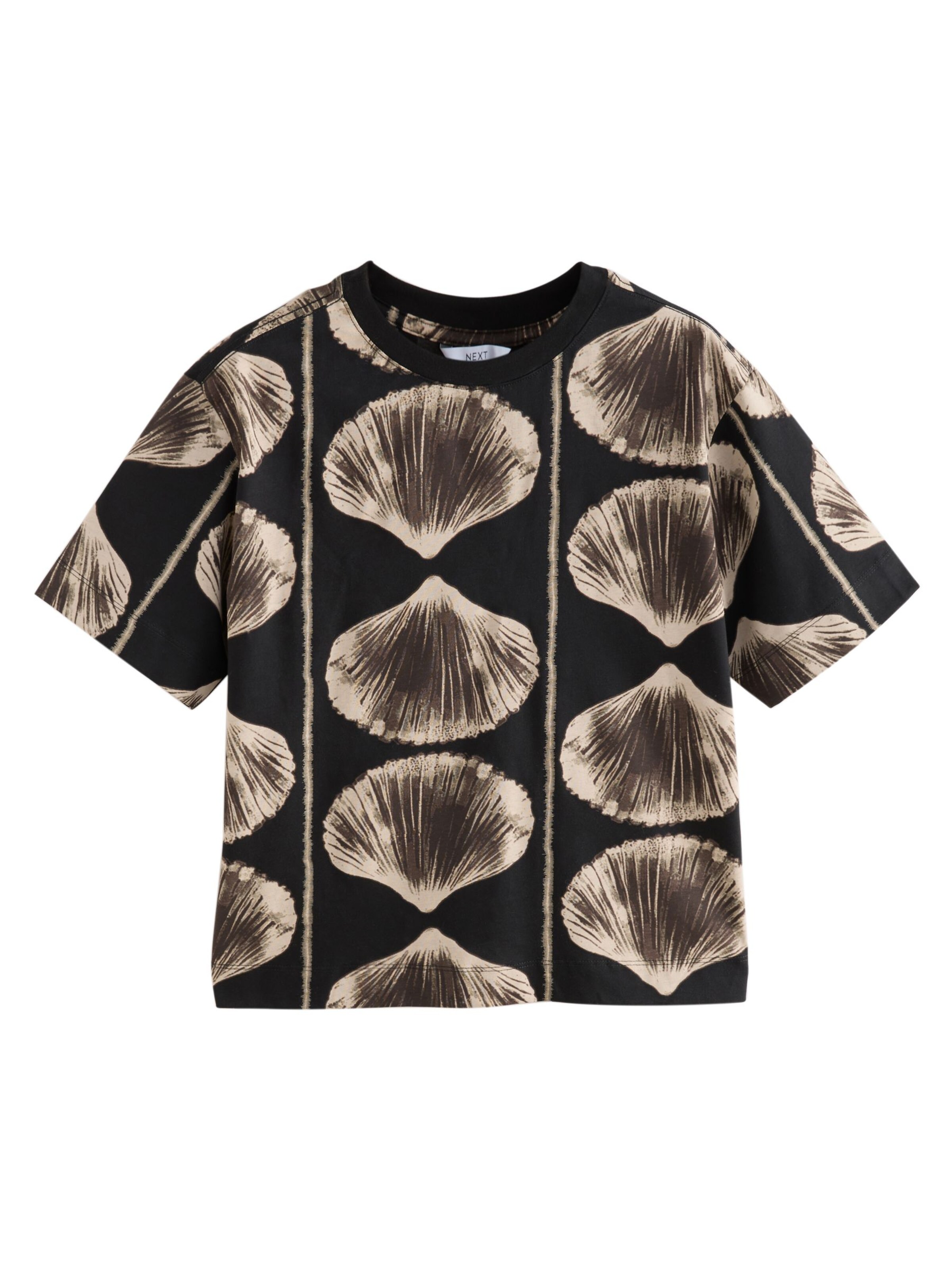 Next T-Shirt in Mischfarben