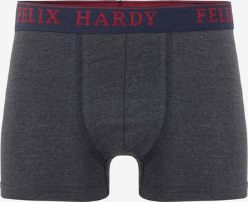 Boxeri de la Felix Hardy pe gri