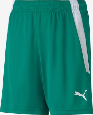 PUMA Regular Workout Pants 'TeamLiga' in Green