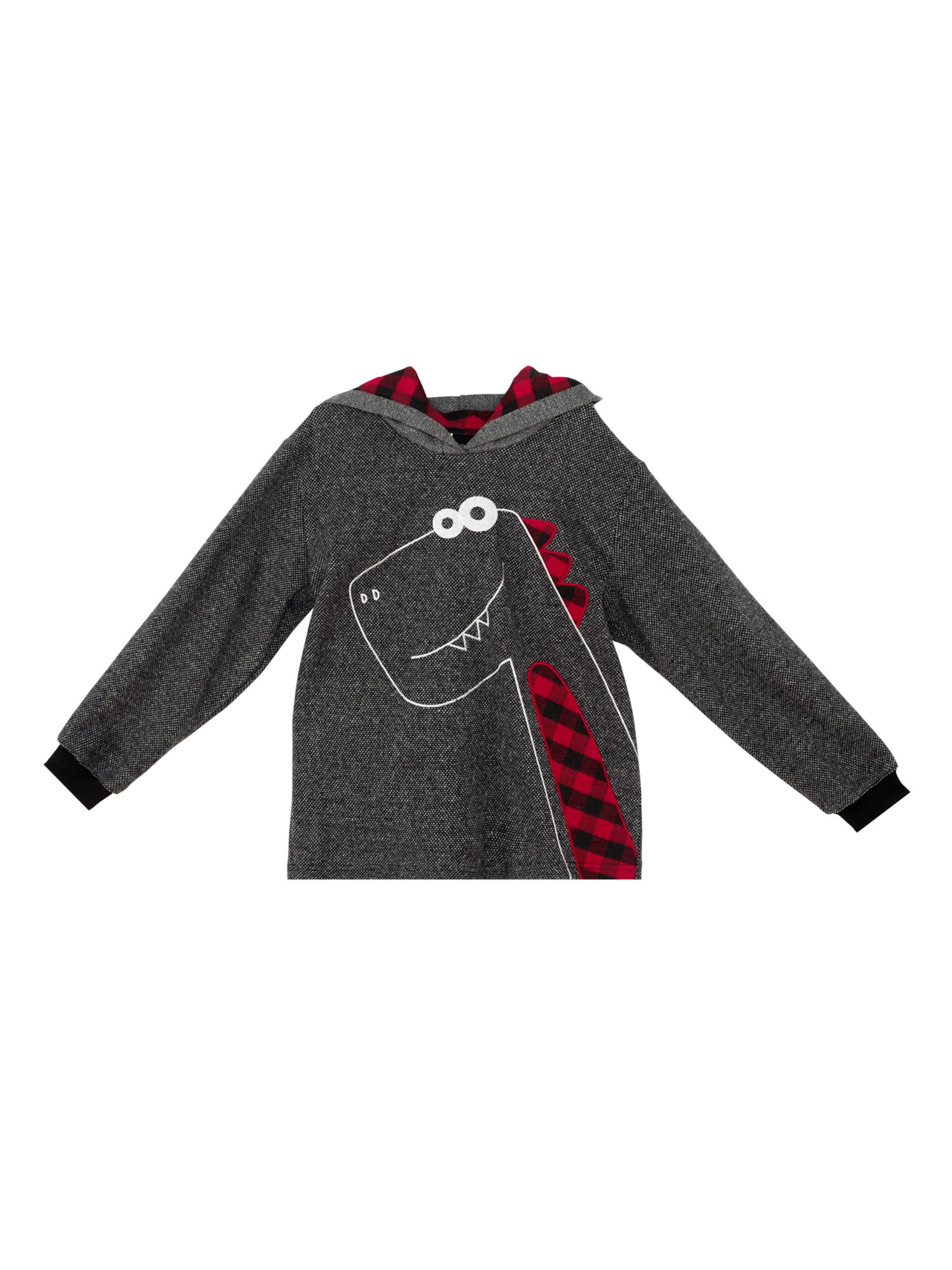 Denokids Trui ' CFF-24S1-061 ' in Grijs: voorkant