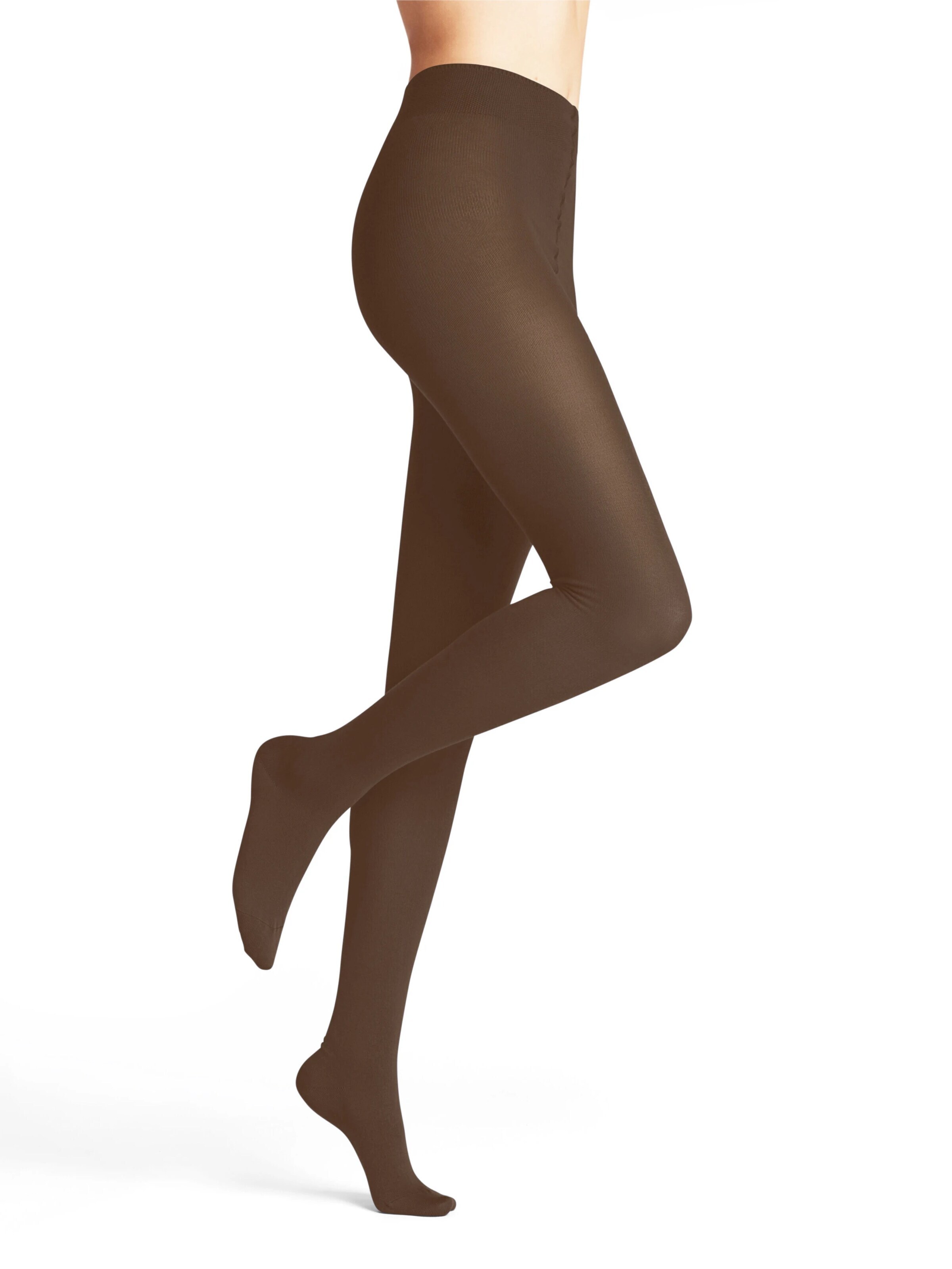FALKE Tights 'Family' in Brown
