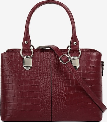 Cluty Crossbody Bag in Red: front