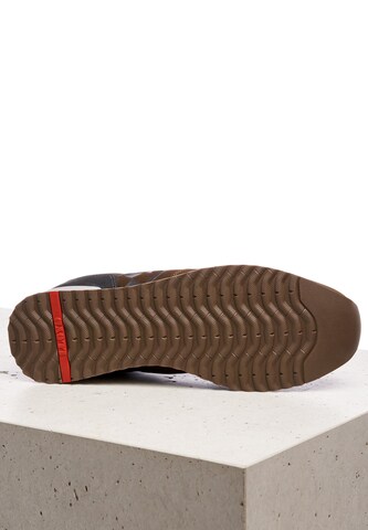 LLOYD Sneaker 'Emotion' in Braun