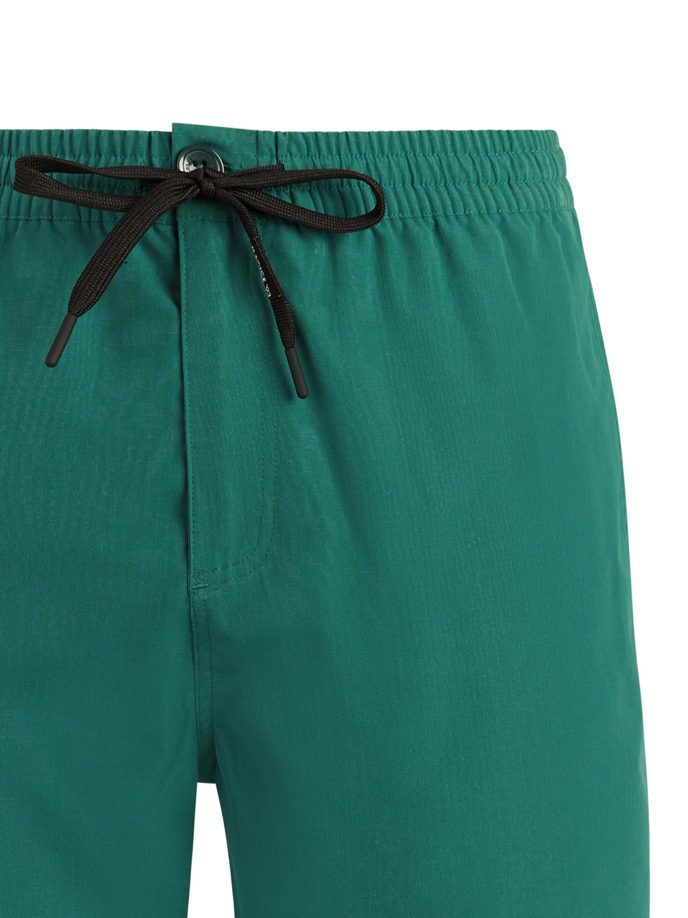 PROTEST Board Shorts 'PRTFilby' in Green