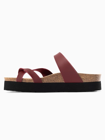 Bayton Muiltjes 'Andromac' in Rood