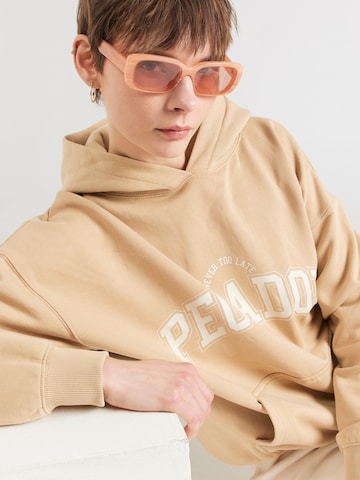 Sweat-shirt 'WAYRUNA' Pegador en beige