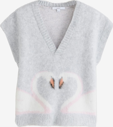 Next Pullover in Grau: Vorderseite