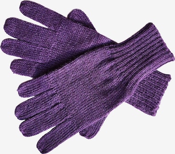 Posh Gear Fingerhandschuhe 'Guantino' in Lila: Vorderseite