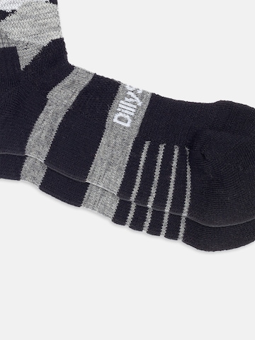 Chaussettes de sport 'Active Merino ' DillySocks en mélange de couleurs