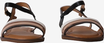 POTI PATI Sandaal 'Flache Sandalen mit Riemchen' in Zwart