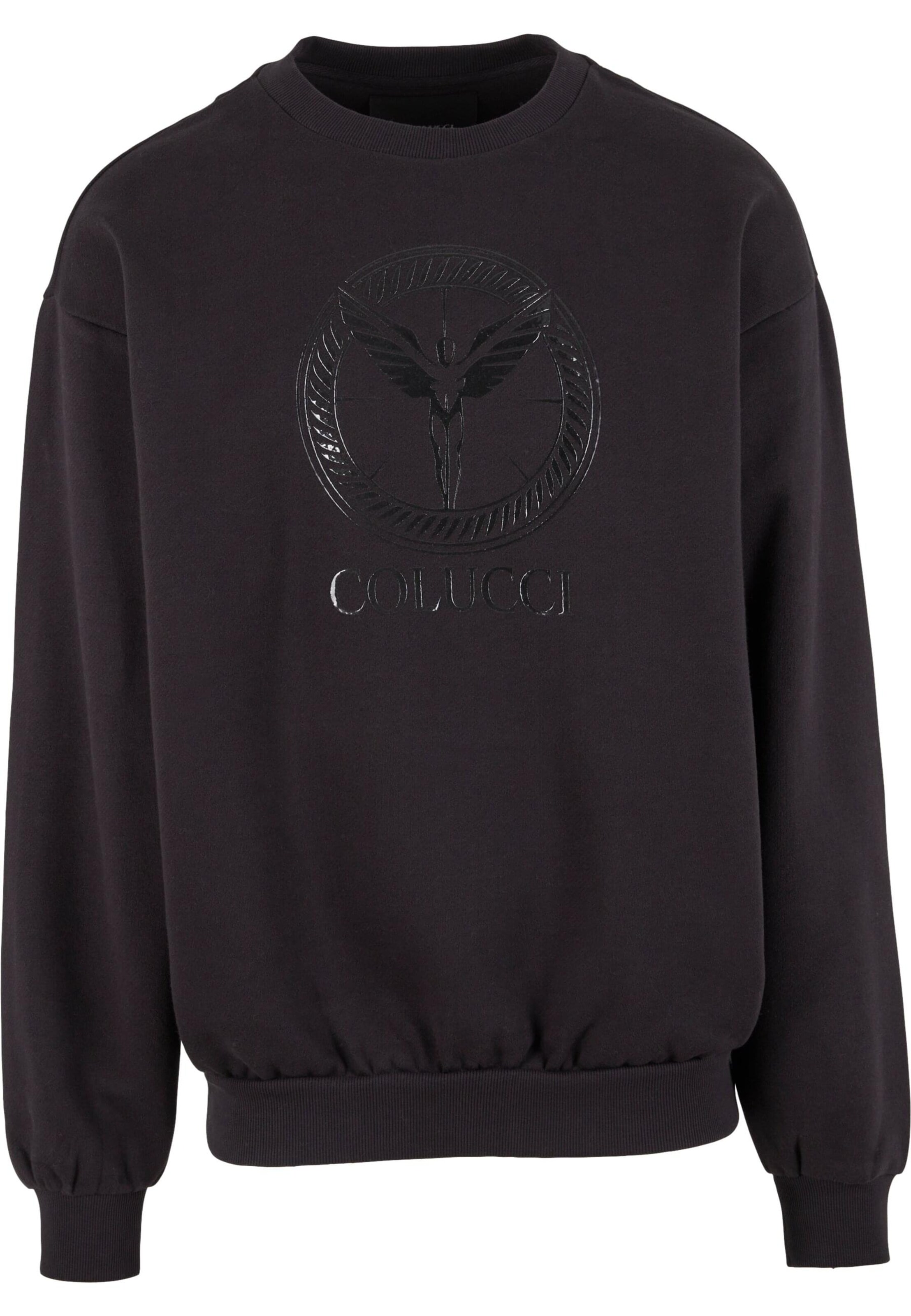 Sweat-shirt 'Ikarus Circle' Colucci en noir : devant