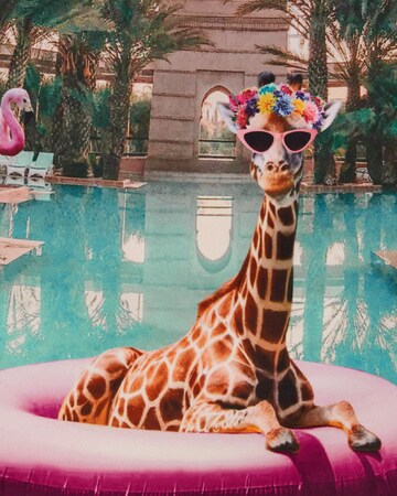 WE Fashion Купальник в Синий