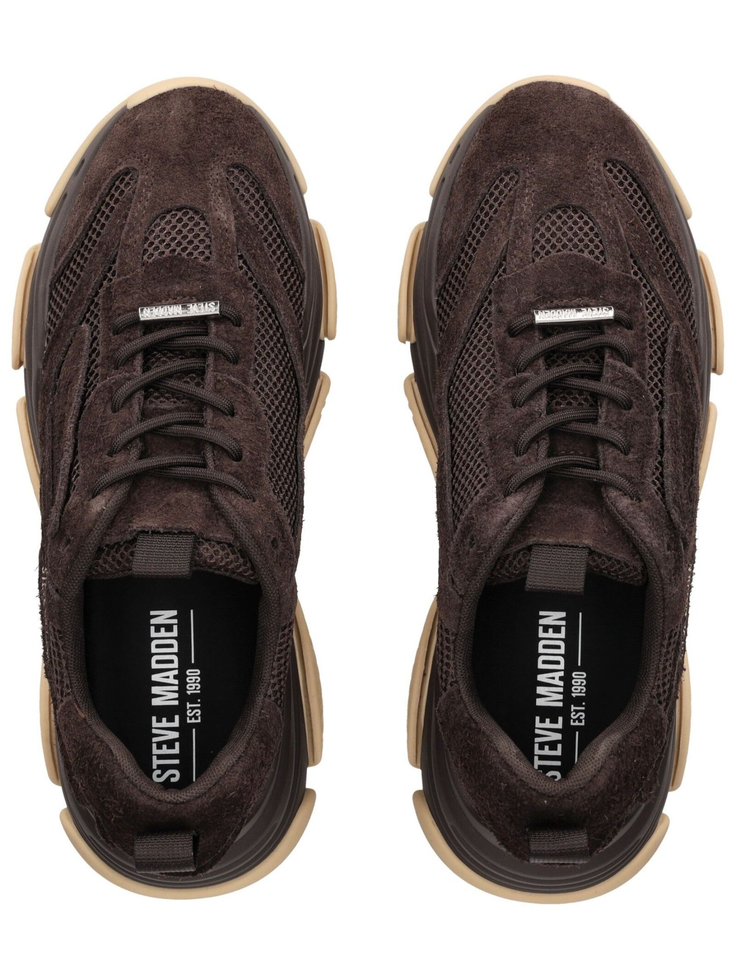 STEVE MADDEN Platform trainers in Brown