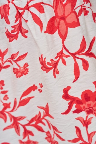 Salsa Jeans Kleider in Rot