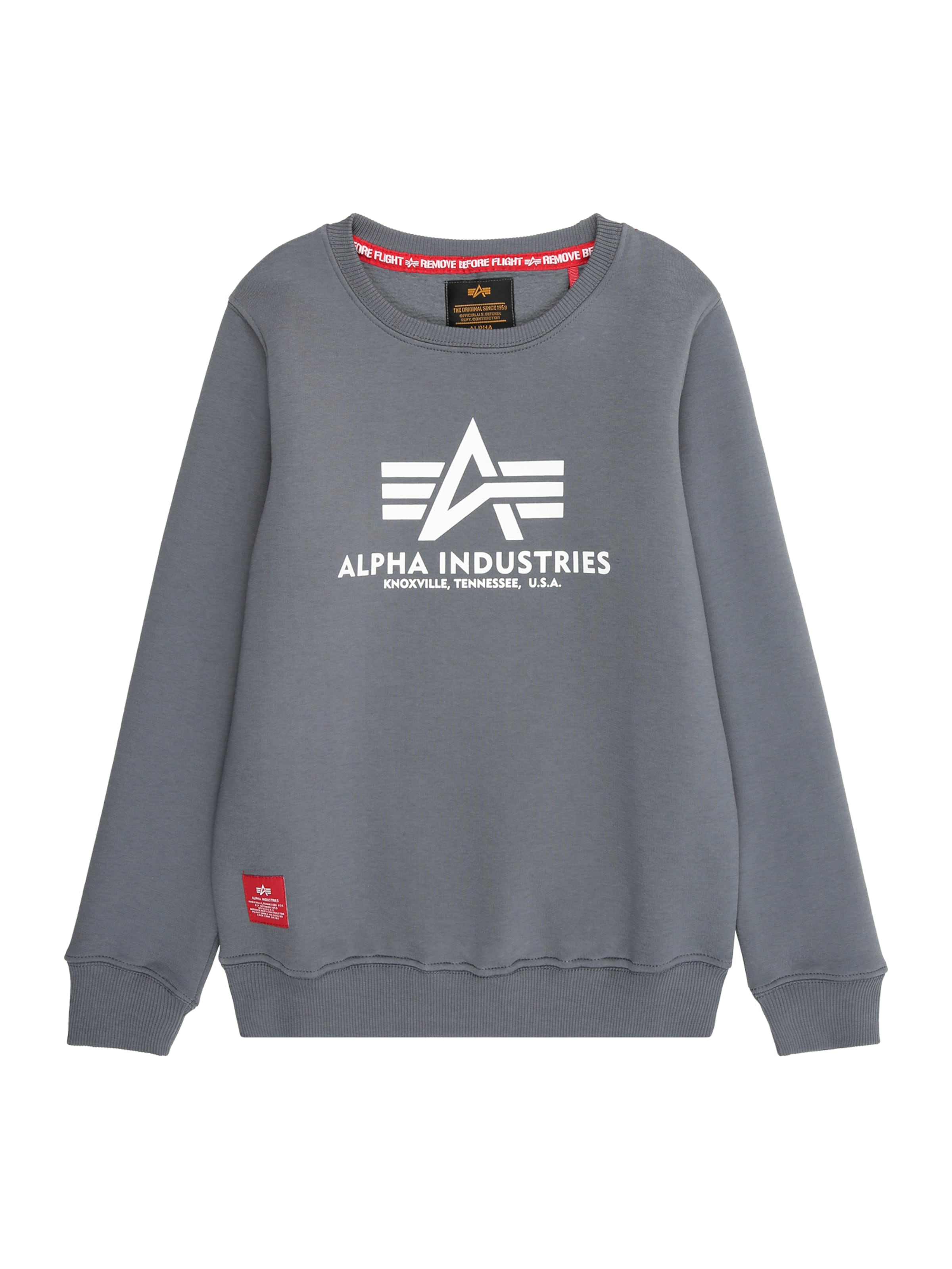 ALPHA INDUSTRIES Bluza w kolorze szary: przód