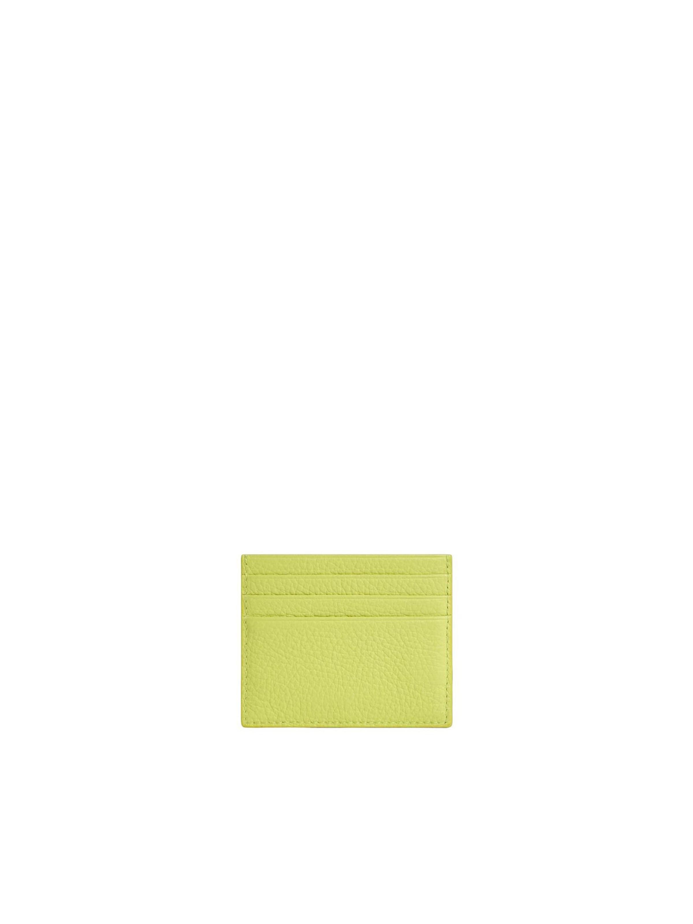 Coccinelle Wallet 'METALLIC 26 2' in Green
