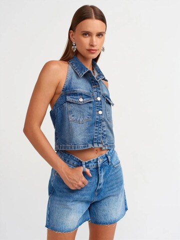 Dilvin Regular Broek in Blauw