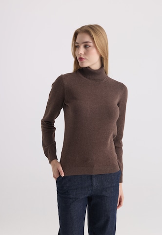 Pull-over Felix Hardy en marron