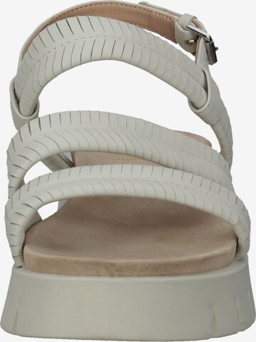 SANSIBAR Strap Sandals in Grey