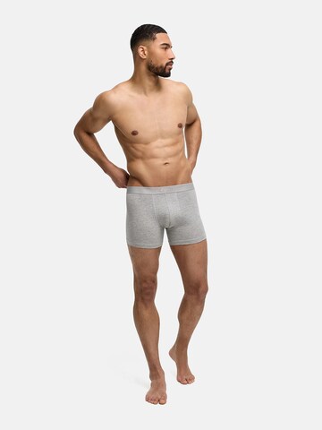 cfab (formerly creamy fabrics) Boxershorts 'Boxershorts'‌‌‌‌‌‌‌‌‌‌ in Grau