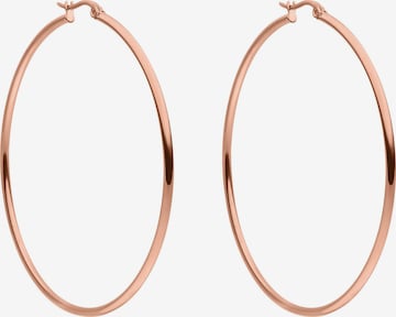 PURELEI Earrings 'Hoops' in Gold: front