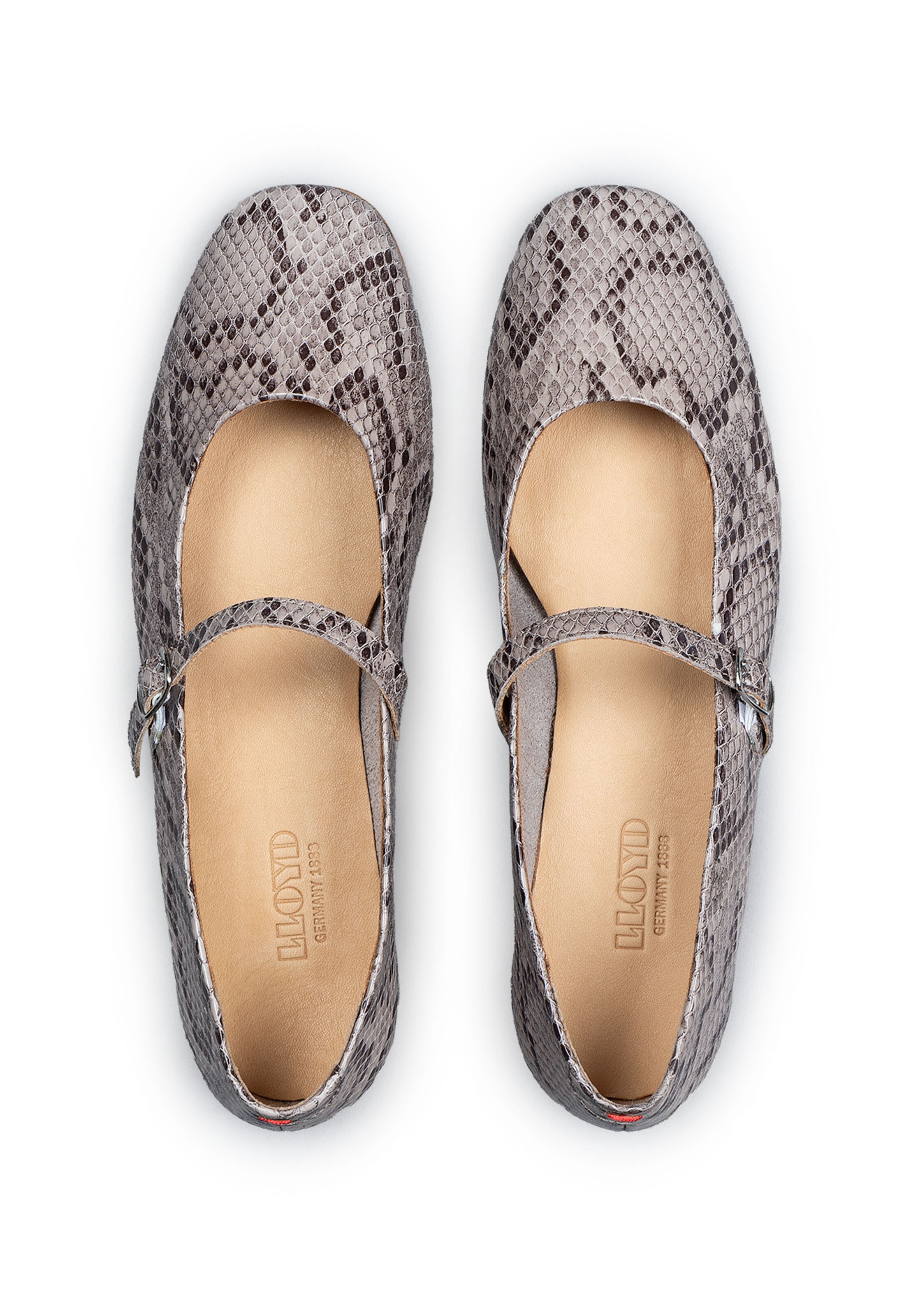 Chaussure basse LLOYD en beige