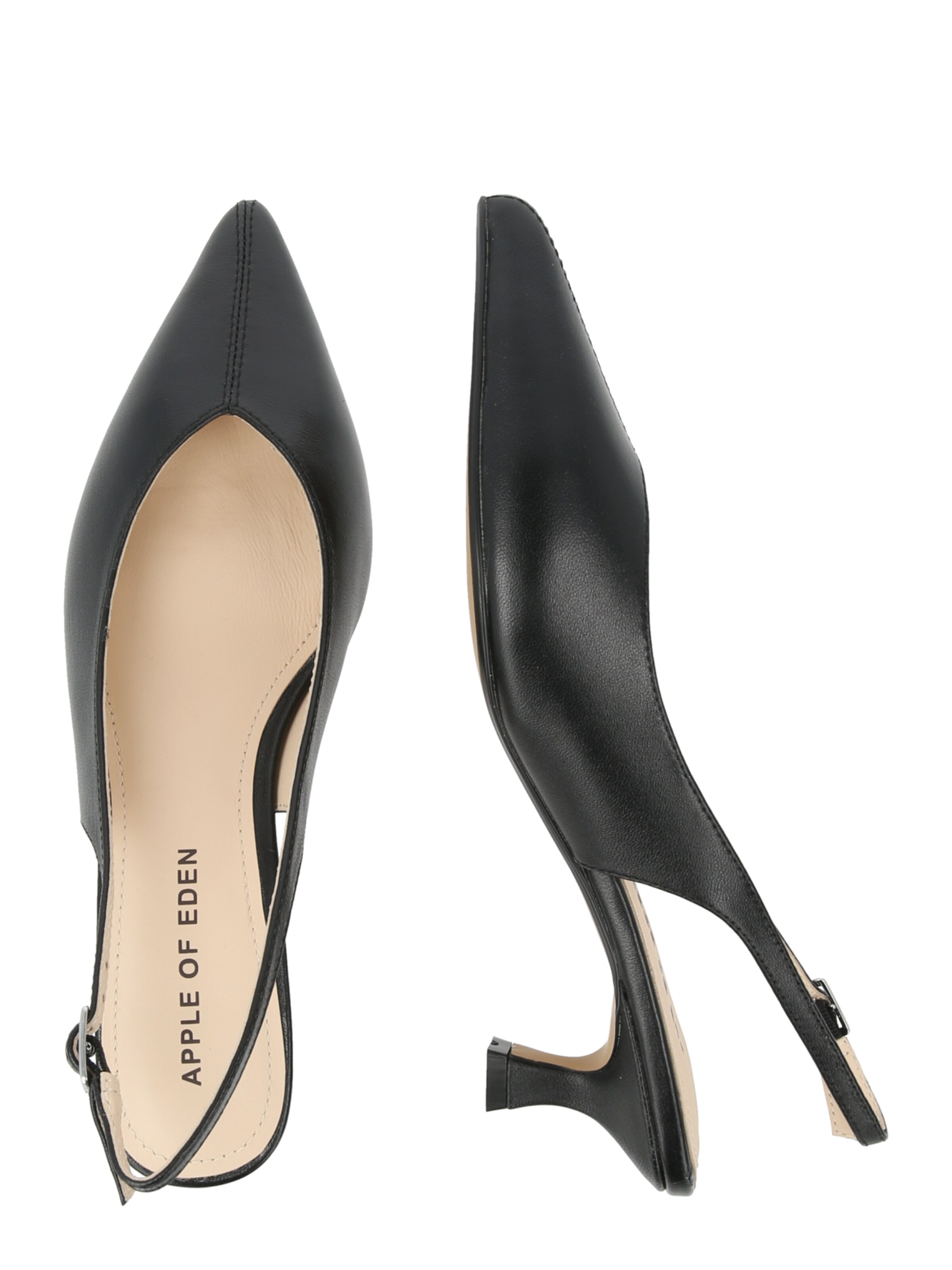 Apple of Eden Slingback Pumps 'HALO 1' in Black
