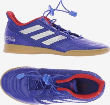 ADIDAS PERFORMANCE Sneakers & Trainers in 37 in Blue: front