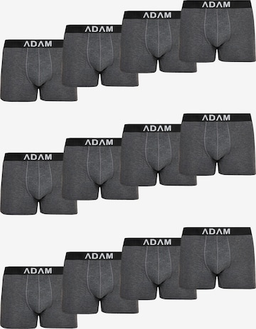 Adam Boxer shorts '12er Pack' in Grey: front