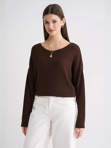Pullover 'Pullover' di MixRay in marrone