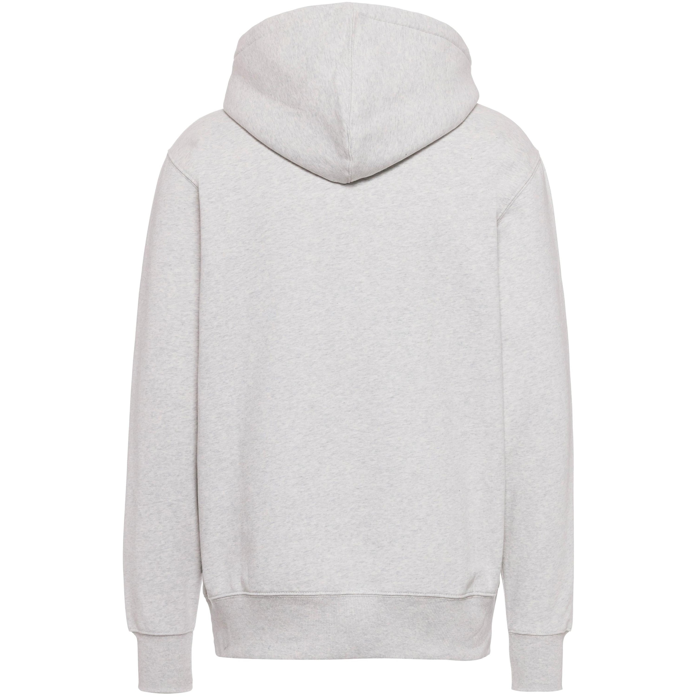 DICKIES Μπλούζα φούτερ 'Summerdale' σε γκρι