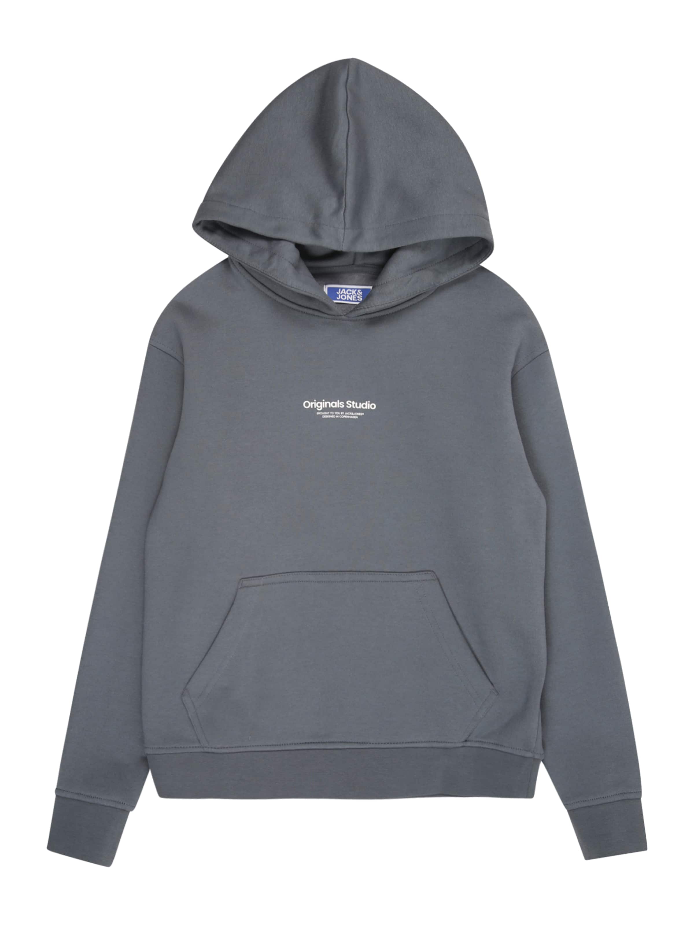 Jack & Jones Junior Sweatshirt 'JORVesterbro' in Grey: front
