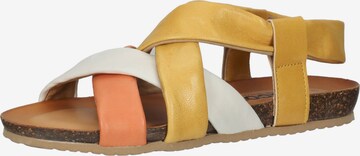 Sandalo di IGI&CO in giallo: frontale