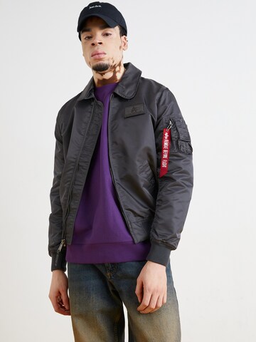 ALPHA INDUSTRIES Φθινοπωρινό και ανοιξιάτικο μπουφάν 'Flying Tigers' σε γκρι