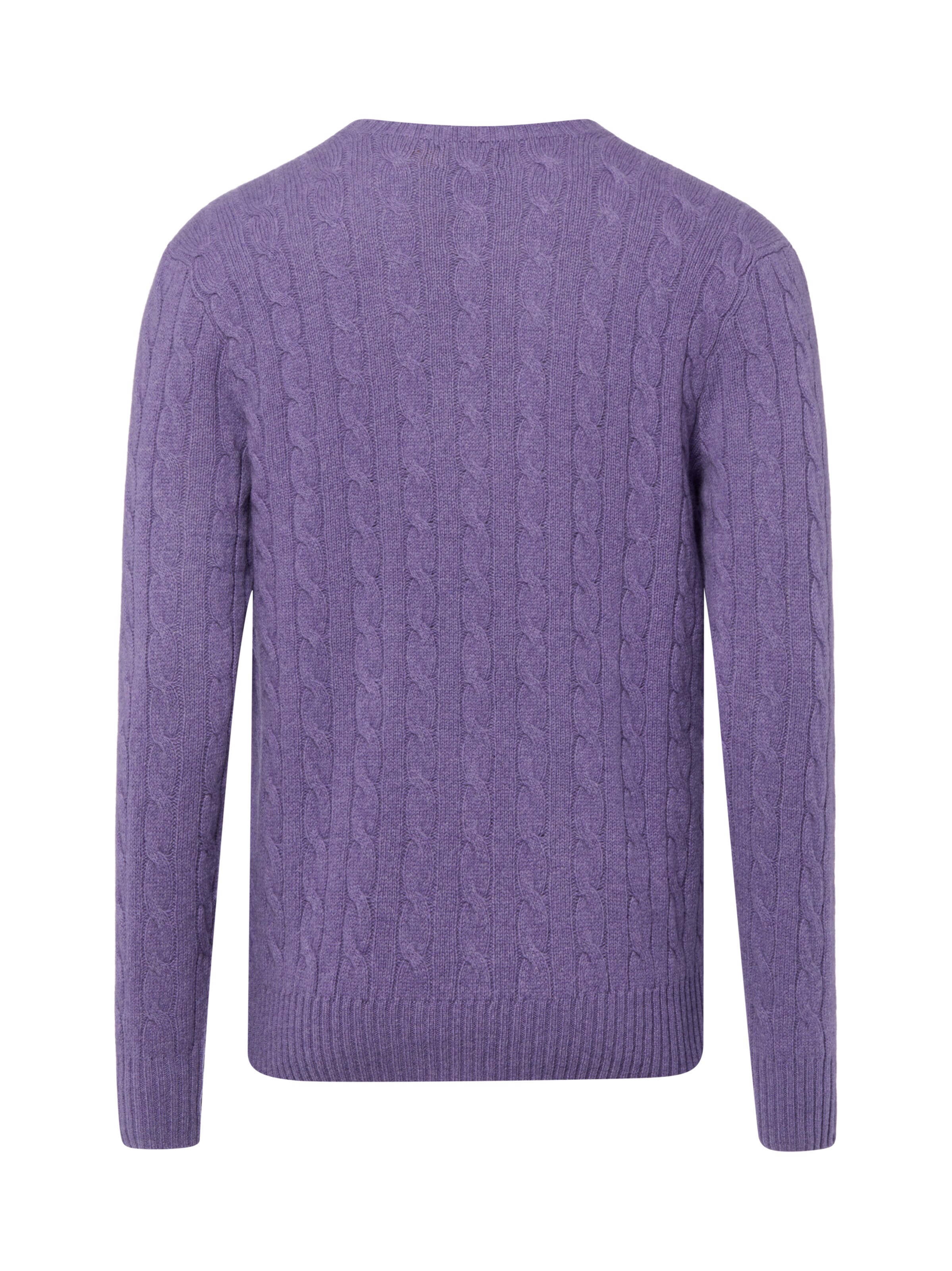 Ralph Lauren Sweater in Purple
