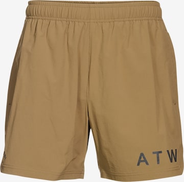 HALO Pants in Brown: front