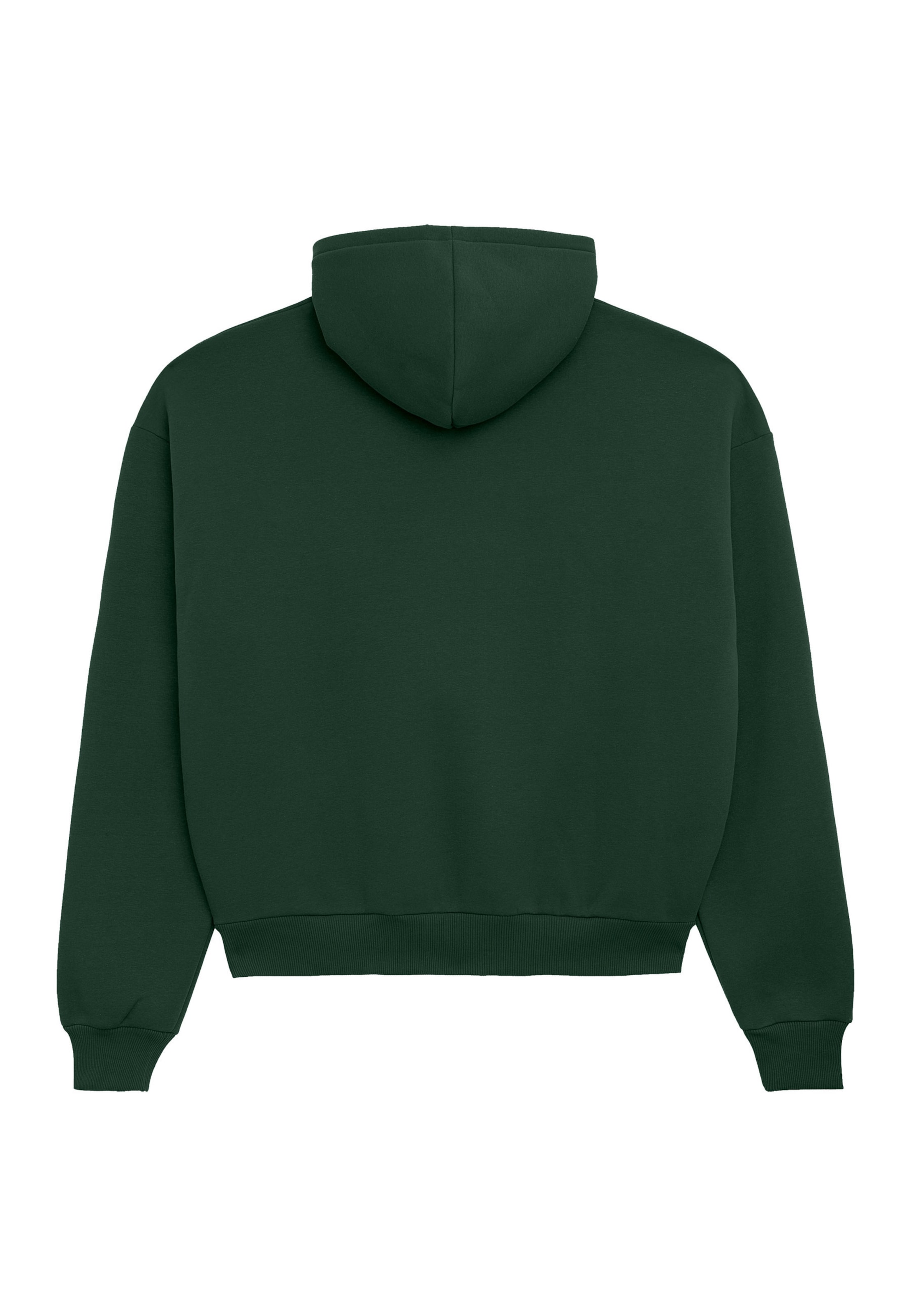 Prohibited Sweatshirt in Grün