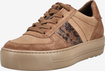 Paul Green Sneakers in Brown: front