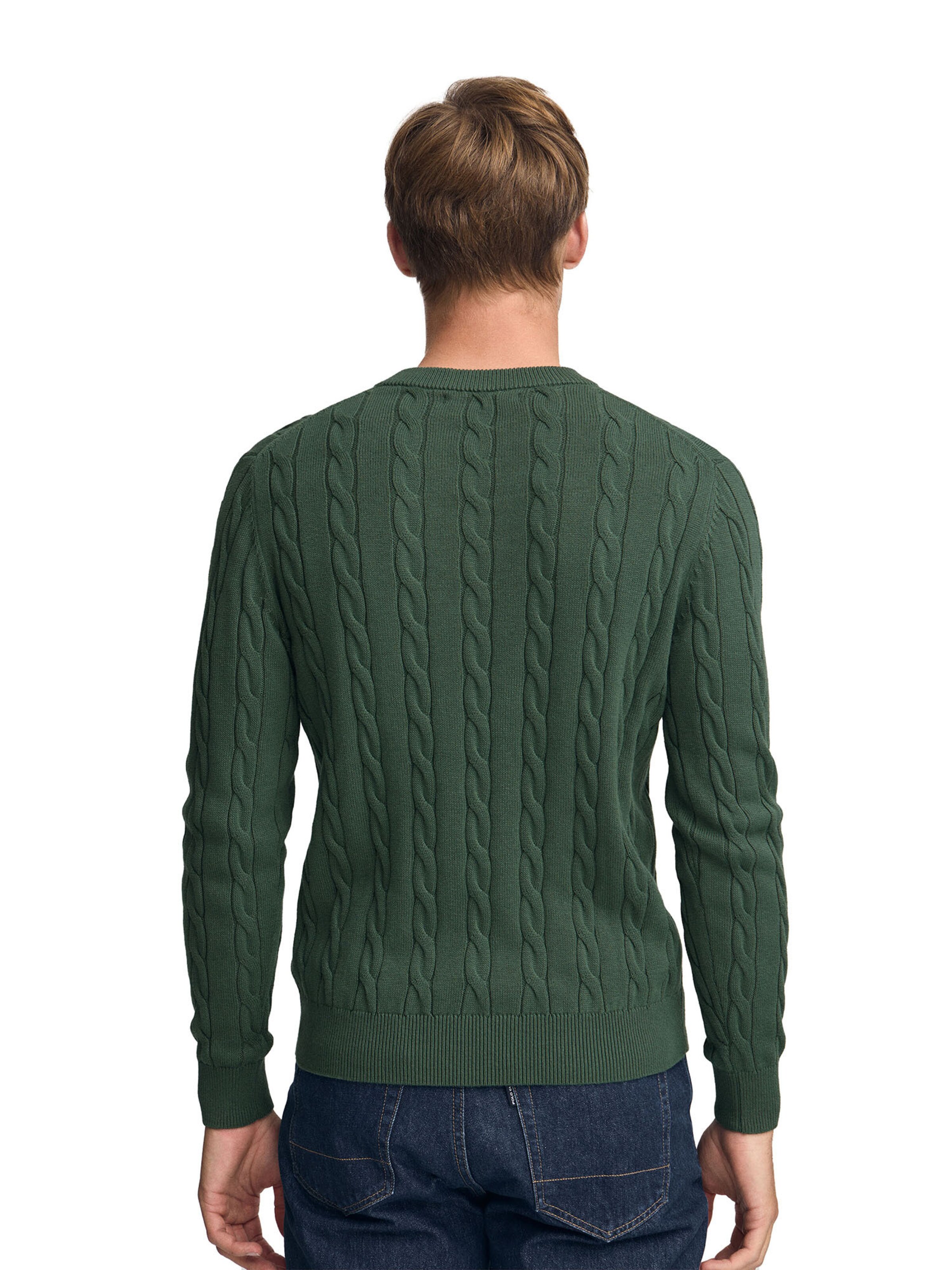 Polo Club Pullover in Grün