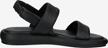 IGI&CO Sandals in Black