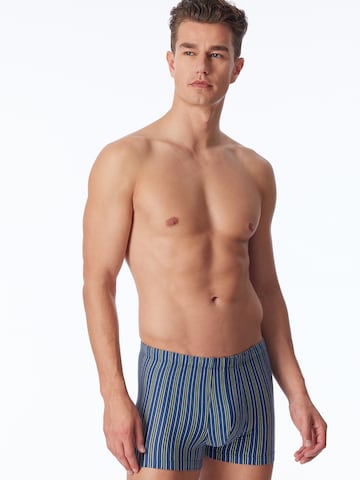 SCHIESSER Boxer shorts ' 95/5 Organic ' in Blue: front