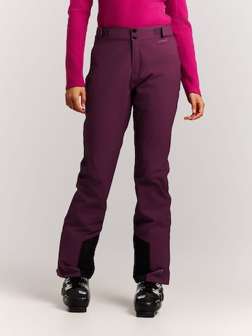 PROTEST Regular Sports trousers 'PRTCINNAMONES' in Purple