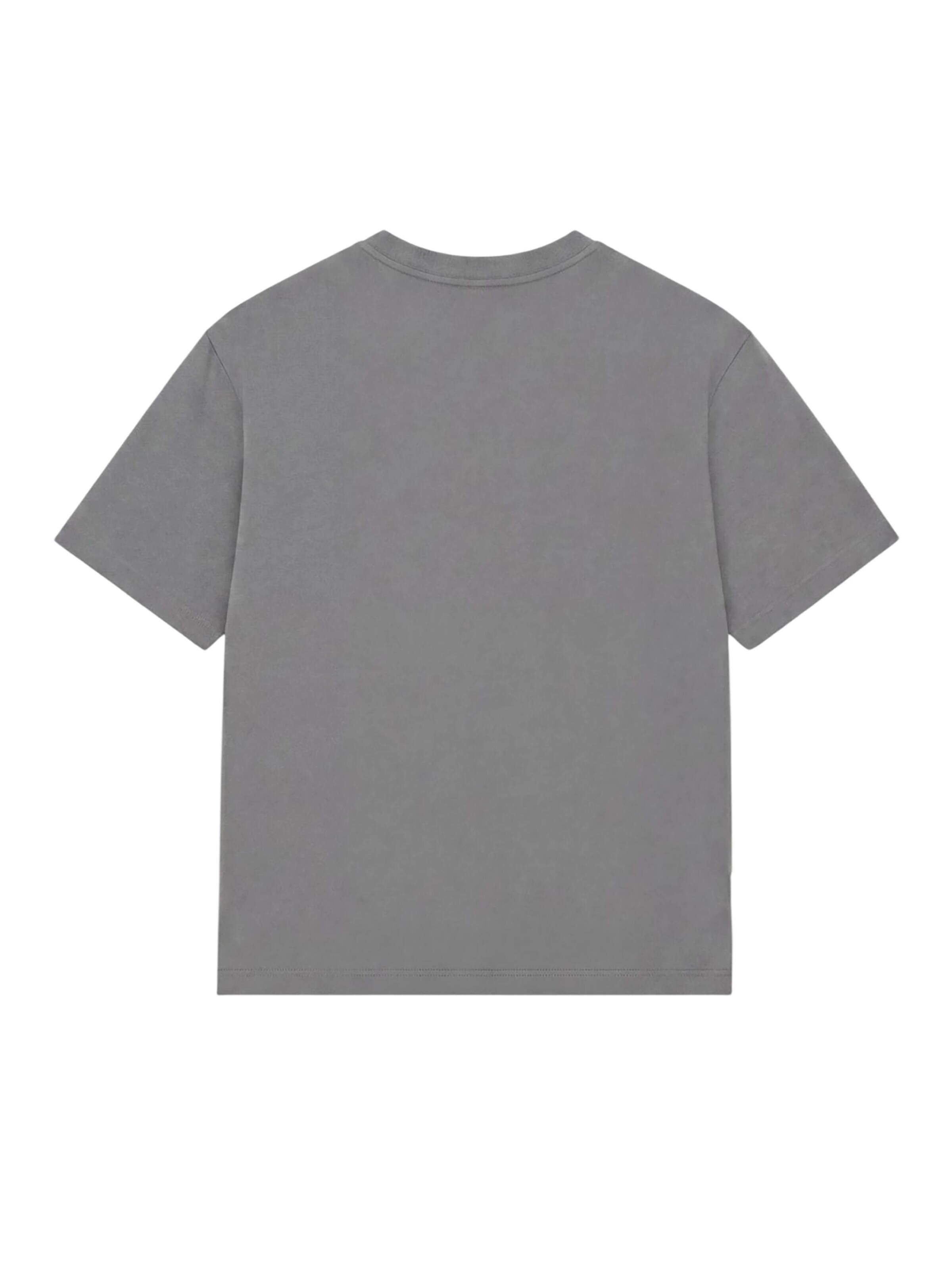 Colucci Shirt 'College Logo' in Grey
