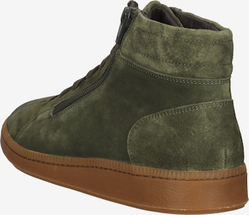 Ganter High-Top Sneakers in Green